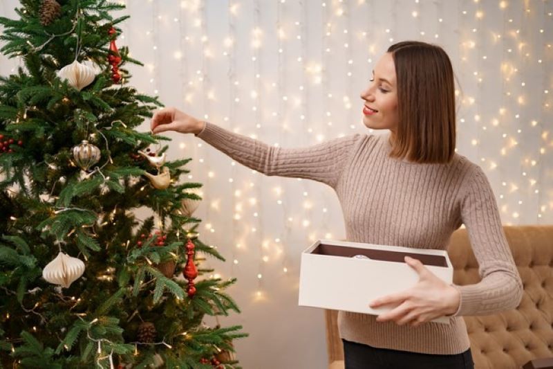 39+ How To Check Lights On Prelit Christmas Tree 2021