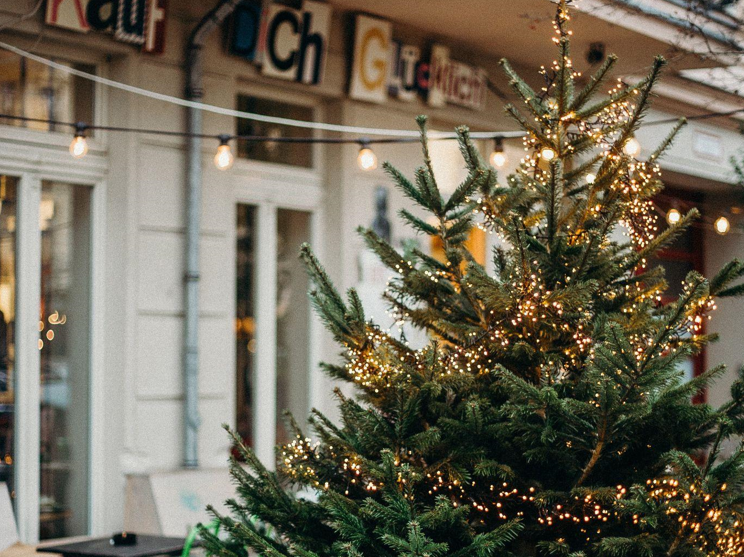 How to Choose the Perfect Christmas Tree Size for a 9-Foot Ceiling